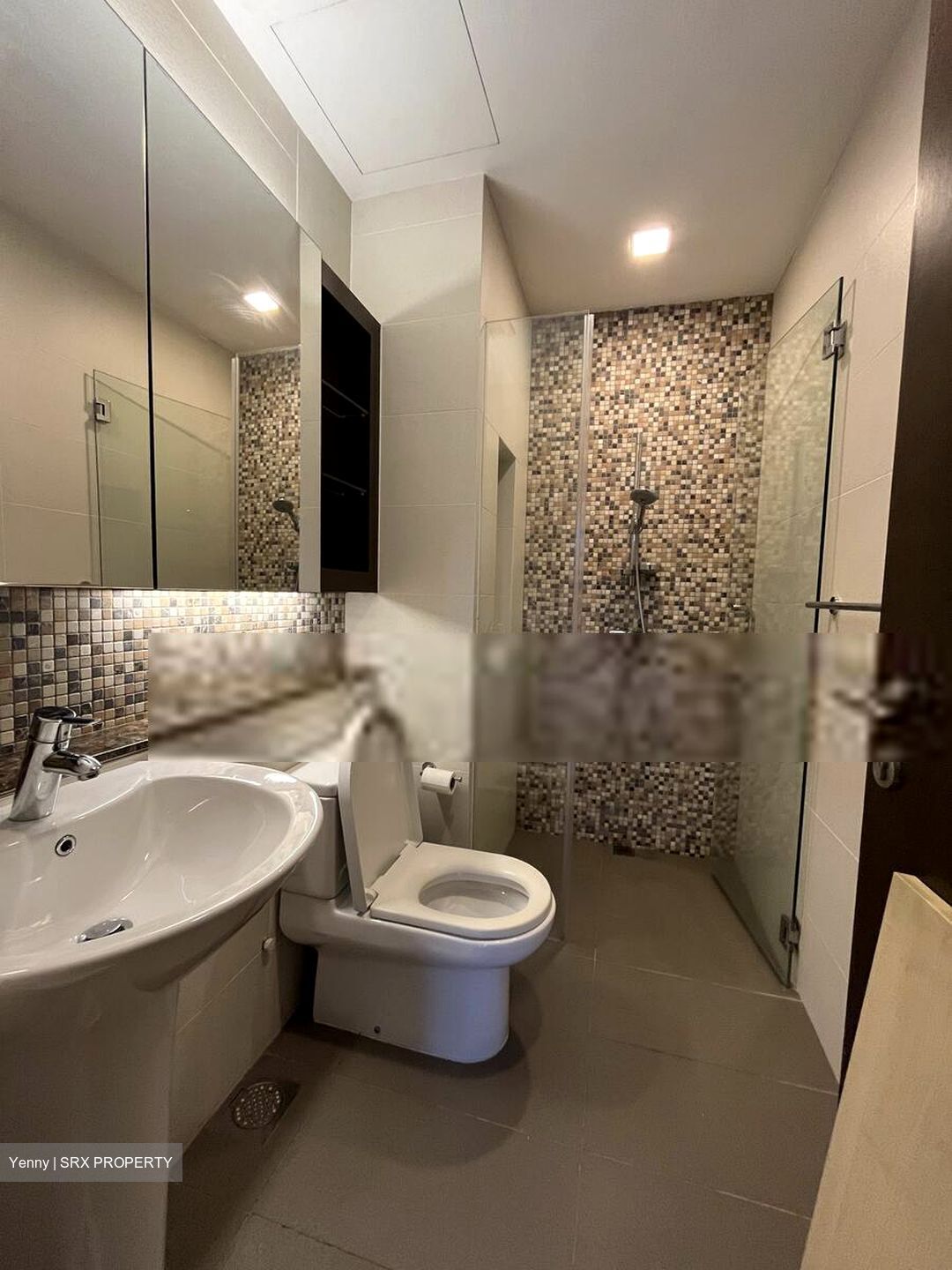 Radiance @ Bukit Timah (D21), Terrace #532296331